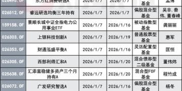 元旦后就迎来新基发行大战 首周新发44只 知名基金经理上阵