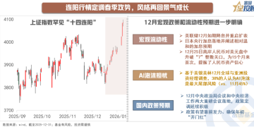 如何看待本轮春季行情的演绎？