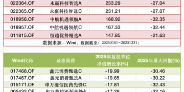 「冠军基」VS「垫底基」:回撤差不多 收益为何天差地别?