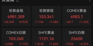 刚刚全线大涨！贵金属市场掀起「避险狂潮」！美国针对伊朗实施新一轮制裁