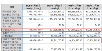 本周2只新股可申购 半导体细分龙头来了