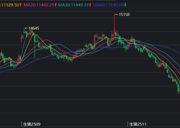 生猪市场盘点：「旺季不旺」背后的行业激变