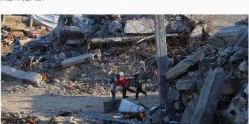 最新！法国、英国、加拿大、丹麦、芬兰等十国外长发布联合声明