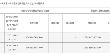 中央汇金最新动向!公募基金2025年四季报陆续披露