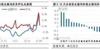 2026年1月生猪价格或先涨后跌 南北市场供需差异或推动南猪北调