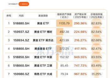 规模最多涨9倍 黄金ETF太猛了