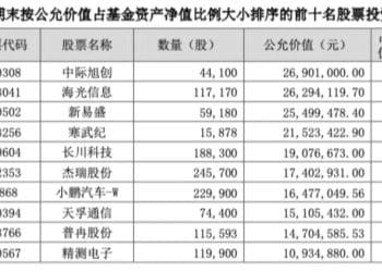 首批权益类基金四季报亮相！