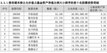 首批权益类基金四季报亮相！