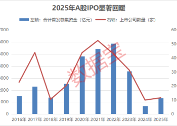 单签最高盈利近40万元 2025年最赚钱十大新股出炉！