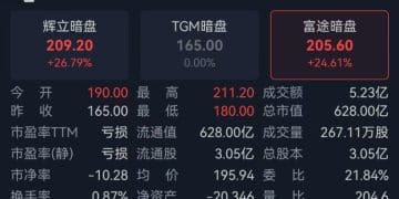 今日上市！超460家机构疯抢MiniMax