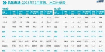 乘联分会：12月全国乘用车市场零售226.1万辆 同比下降14%