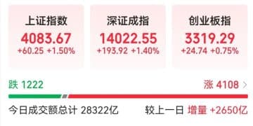 「击鼓传花效应明显」 多家A股公司向投资者提示风险！