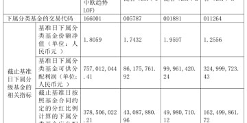 一批绩优基金宣布分红