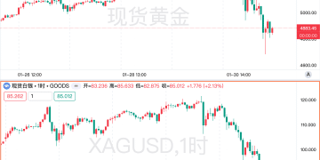 暴涨之后必有暴跌？金银一夜惊魂后，分析师怎么看？