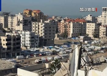 约旦、阿联酋、印度尼西亚、巴基斯坦、土耳其、沙特阿拉伯、卡塔尔和埃及八国外长发布联合声明！