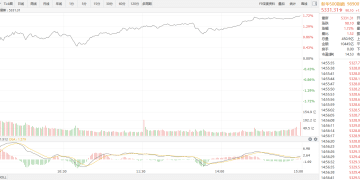 【新华500】新华500指数（989001）6日涨1.72%