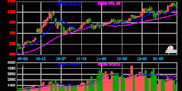 市场担忧南美和中东局势，贵金属、关键矿产牛市延续？