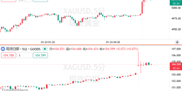 见证历史：现货黄金冲破5000美元，白银涨破106！