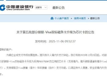 双标卡借「磁升芯」重生，背后卡组织走向「合纵连横」