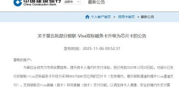 双标卡借「磁升芯」重生，背后卡组织走向「合纵连横」