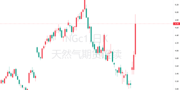 北极寒潮来袭+空头回补风暴，美国天然气期货化身「窜天猴」！
