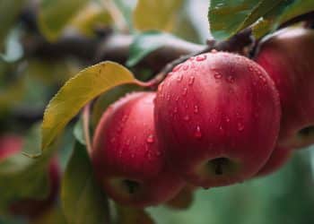 为零售终端提供降本增效妙招