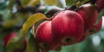 为零售终端提供降本增效妙招