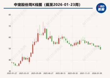 中宠股份拟最高2亿元回购股份！当前股价距高点回撤逾三成，曾因转股信披违规被出具警示函