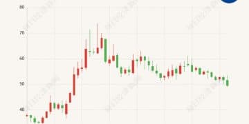 中宠股份拟最高2亿元回购股份！当前股价距高点回撤逾三成，曾因转股信披违规被出具警示函