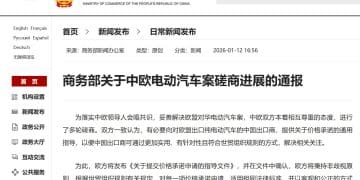 「价格承诺」方案落地！中欧电动汽车反补贴案达成积极成果  专家：能极大提升进口商积极性，把利润留给中国车企