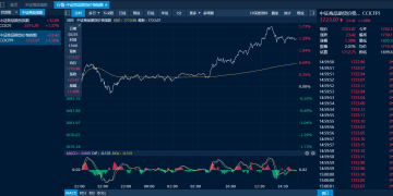 商品日报（2月25日）：基本面利多提振沪锡大涨 集运欧线承压回落