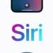 苹果Siri有望本月就引入谷歌Gemini 最快3月份面向公众推出