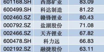 锂企业绩冰火两重天，有矿的赢麻了