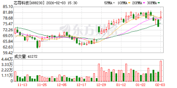 沪市2025年首份年报来了！功率半导体厂商芯导科技营收增长超一成