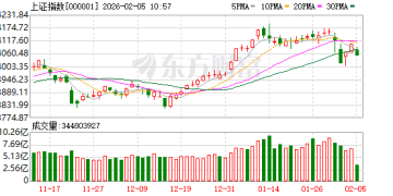 科技成长还是业绩为王？机构激辩A股风格转换