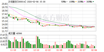 沙河股份重大资产重组！拟跨界收购「小巨人」