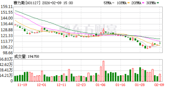 赛力斯或让蓝电汽车「单飞」 后者子公司已入局具身智能赛道