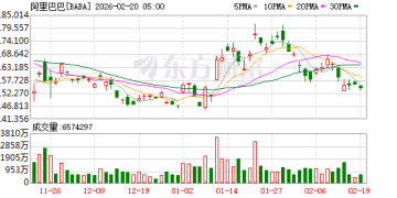 千亿巨头大举加仓！高瓴2025年四季度持仓曝光：加仓拼多多、阿里巴巴等