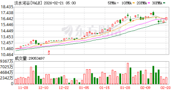 北美还是东南亚？淡水河谷镍布局大调 出售加拿大近70年老牌矿区