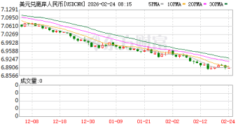 今年人民币汇率料延续双向波动走势