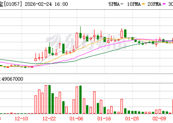 利好发布 特斯拉大动作！港股龙头暴涨近20% 绩优概念股出炉