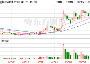 机构调研丨房地产+沪企改革+创投 这家公司今日直线涨停 正稳步推进诸翟、杜行项目建设进度