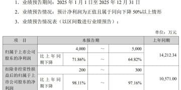 高额关税+「双反」调查，知名车企去年美国市场收入锐减近80%，净利预计降超六成！此前过半营收来自美国！斥巨资跨界投资半导体能救场吗？