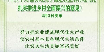 2026年中央一号文件发布！锚定农业农村现代化 扎实推进乡村全面振兴