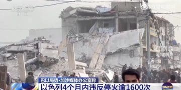 沙特、埃及、约旦、土耳其、巴西、法国、丹麦、芬兰等19国发表联合声明