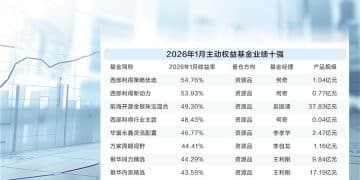 资源主题基金开年一马当先 提防一致性预期过高风险