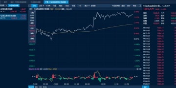 商品日报（2月9日）：贵金属强势反弹 铂涨超10% 沪银涨超8%