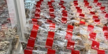 1斤瓜子价格贵过猪肉 高端炒货价格猛涨至200元/斤