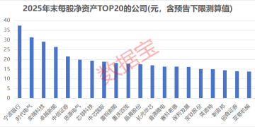 每股净资产5年连增的滞涨细分领域龙头出炉 仅12只