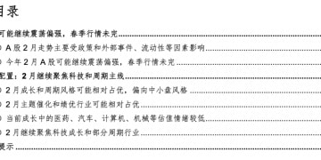 华金策略：二月继续震荡偏强 科技和周期主线不变